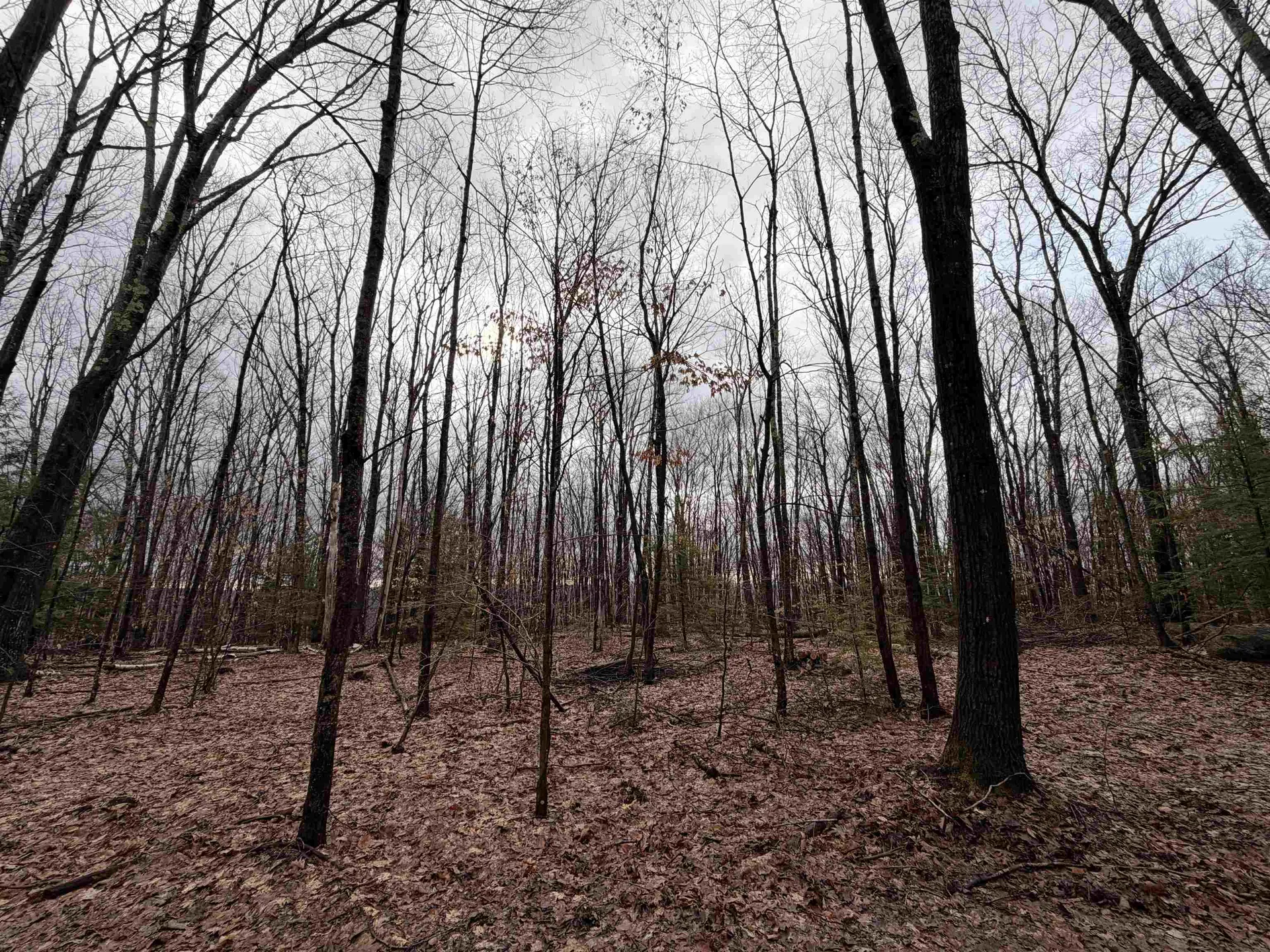 0 Old Walpole/valley View Road Keene NH 03431