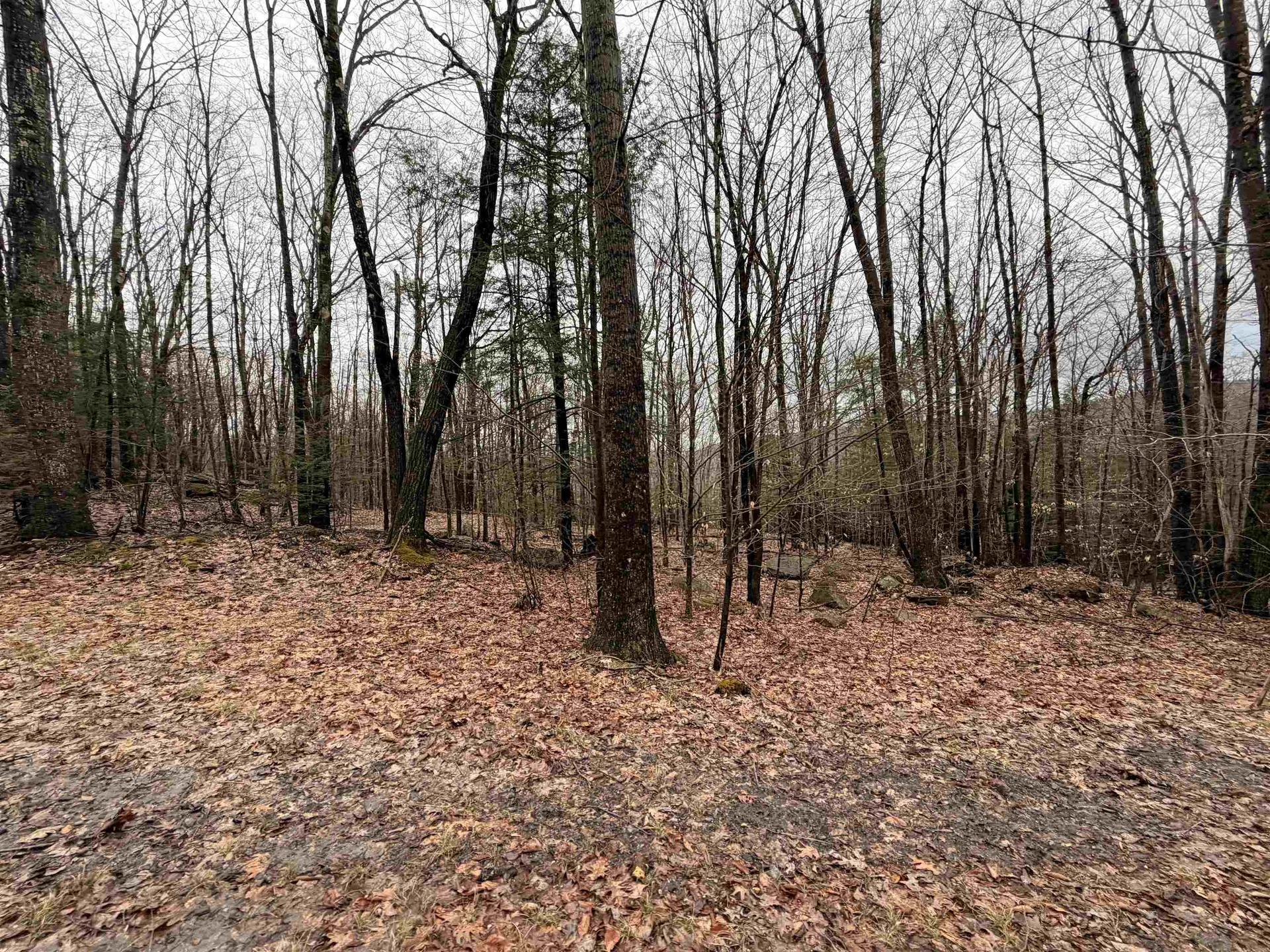 0 Old Walpole/valley View Road Keene NH 03431