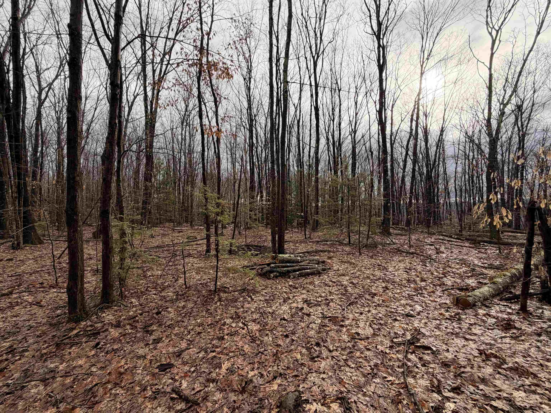 0 Old Walpole/valley View Road Keene NH 03431