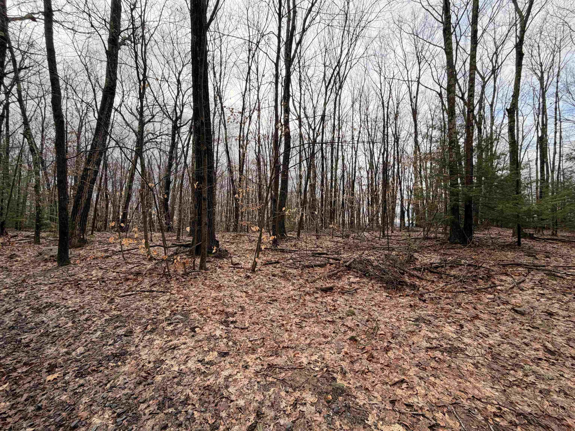 0 Old Walpole/valley View Road Keene NH 03431