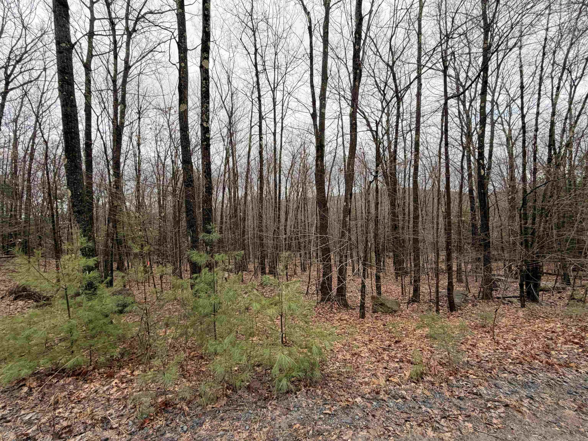 0 Old Walpole/valley View Road Keene NH 03431