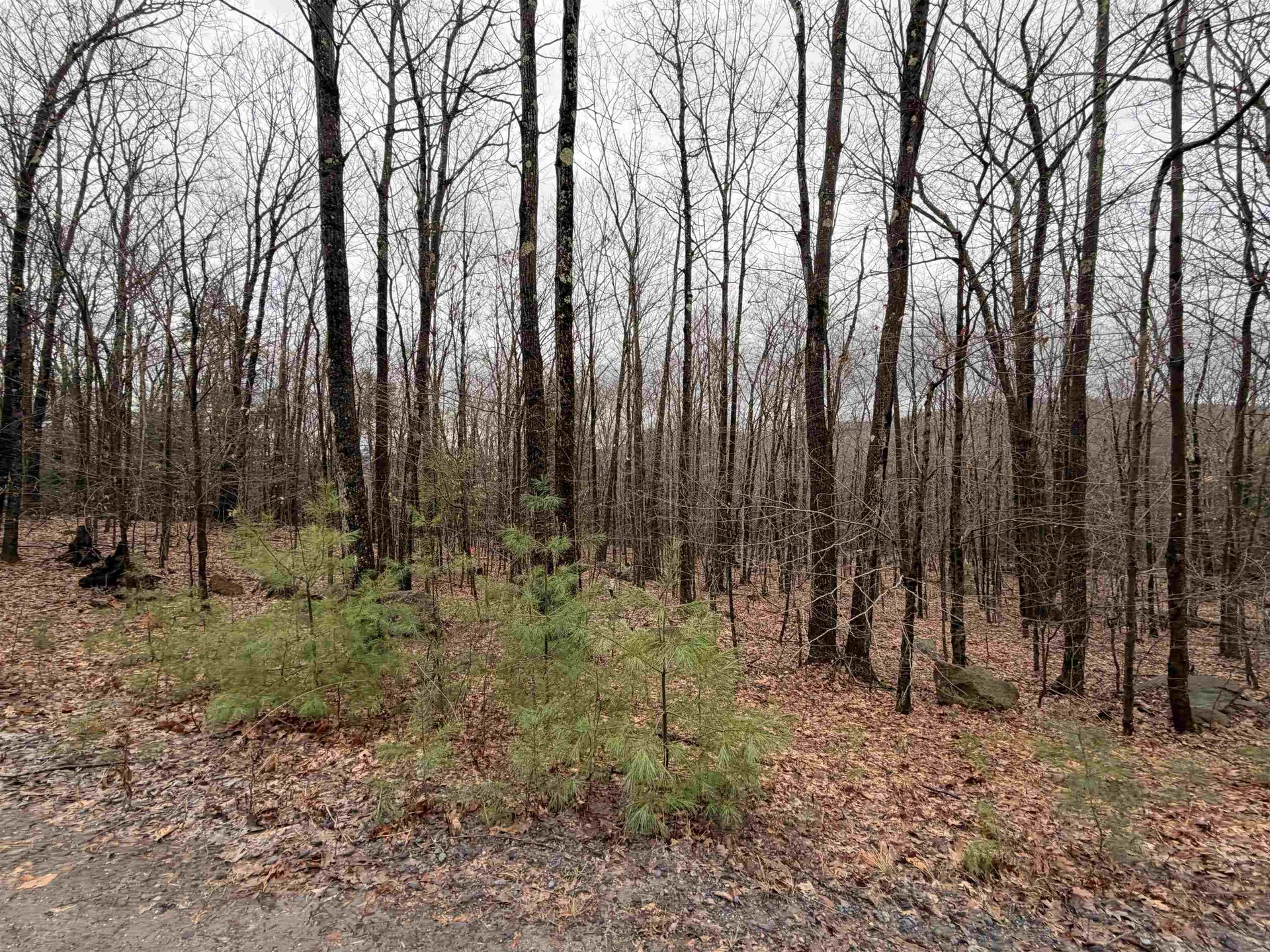 0 Old Walpole/valley View Road Keene NH 03431