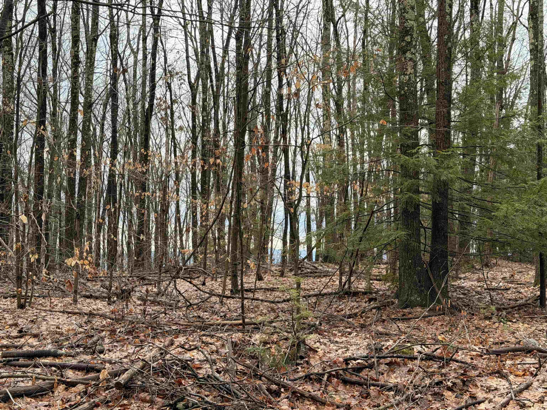 0 Old Walpole/valley View Road Keene NH 03431