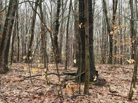 0 Old Walpole/valley View Road Keene NH 03431