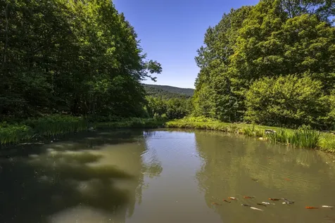 397 Fern Hill Dorset VT 05251