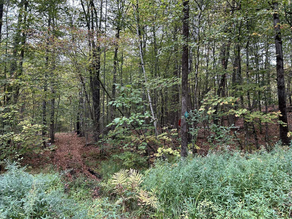 0 Crane Mount Road Townshend VT 05353