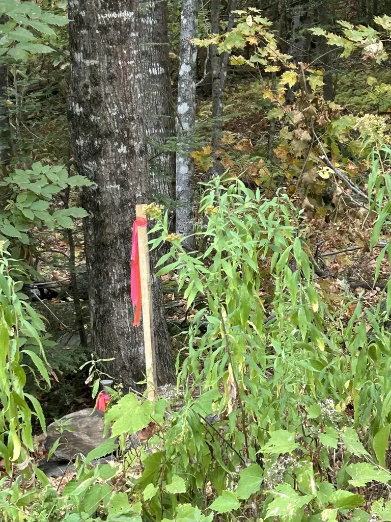 0 Crane Mt Road Townshend VT 05353
