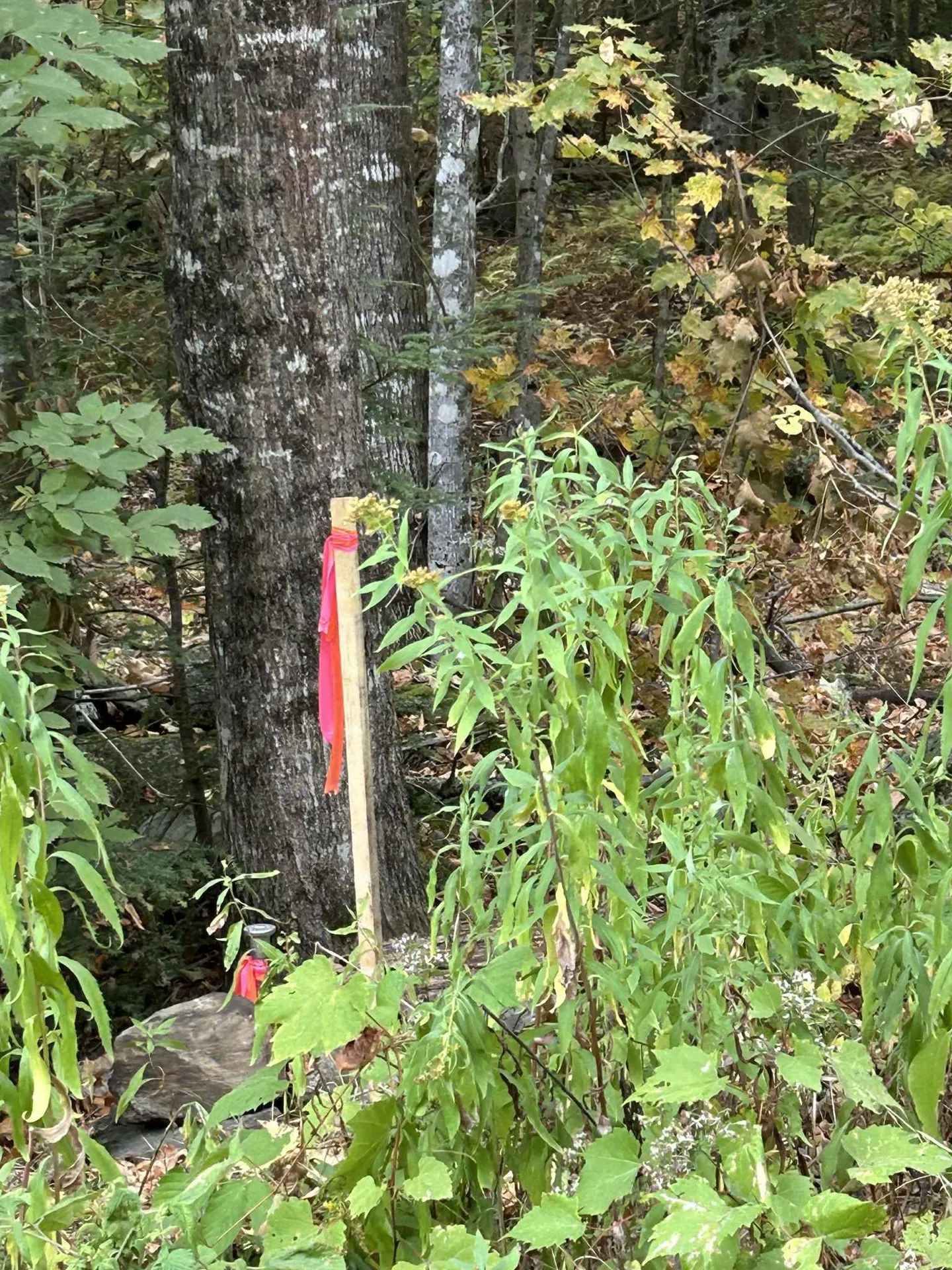 0 Crane Mt Road Townshend VT 05353