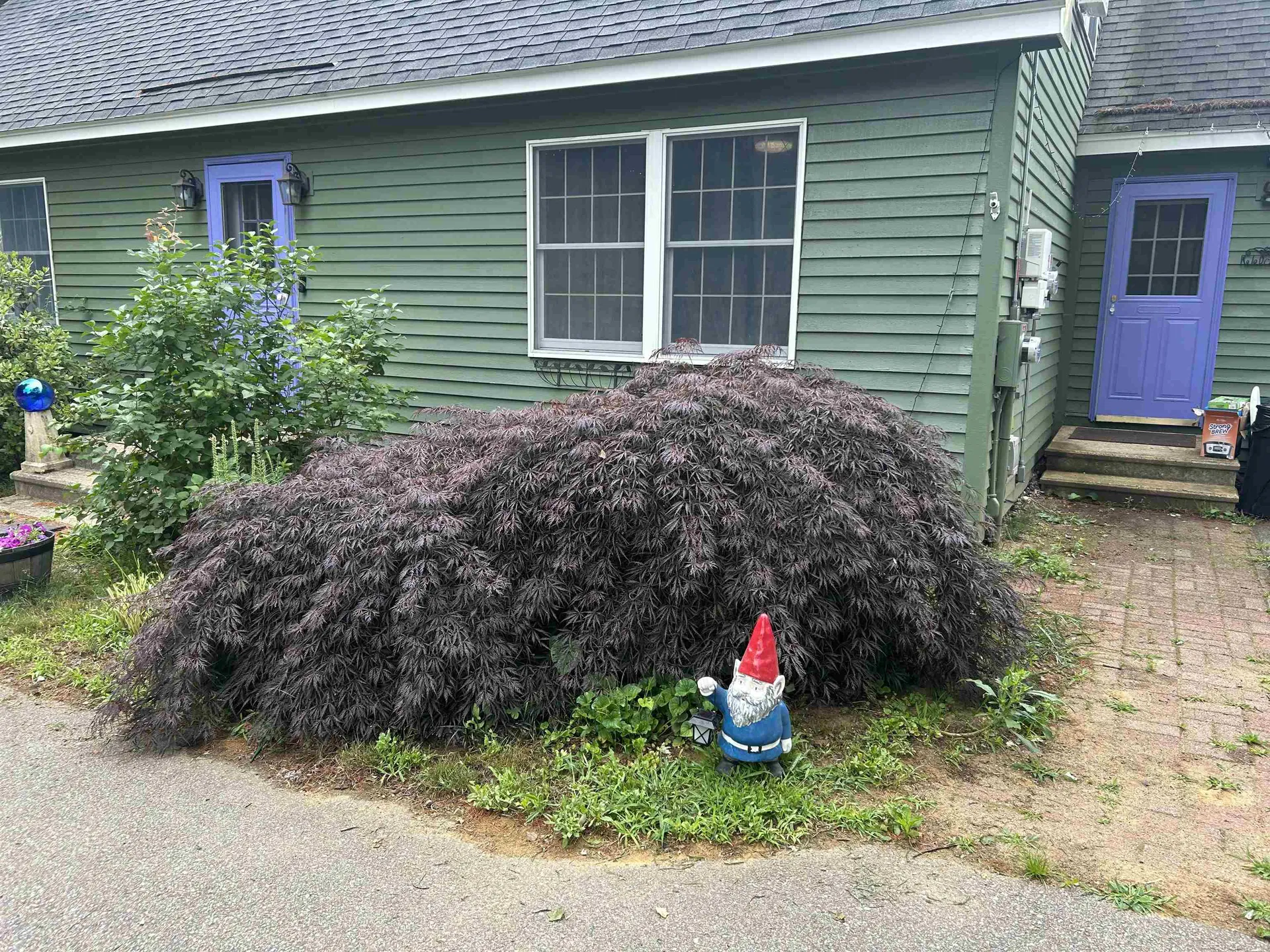 104 Ridgewood Drive Gilmanton NH 03237