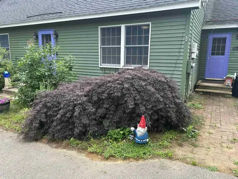104 Ridgewood Drive Gilmanton NH 03237