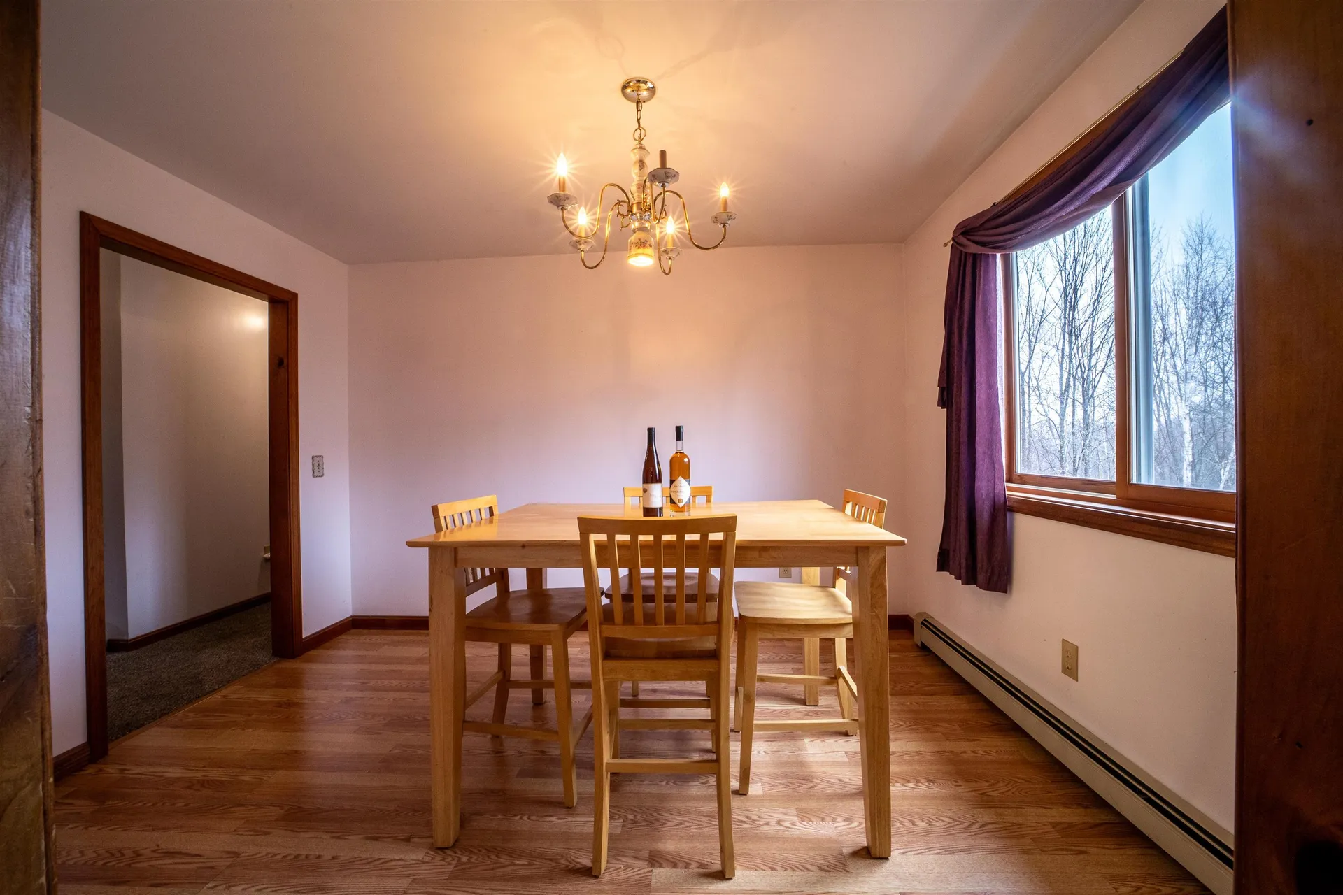 450 Upper Birch Drive Bristol NH 03222