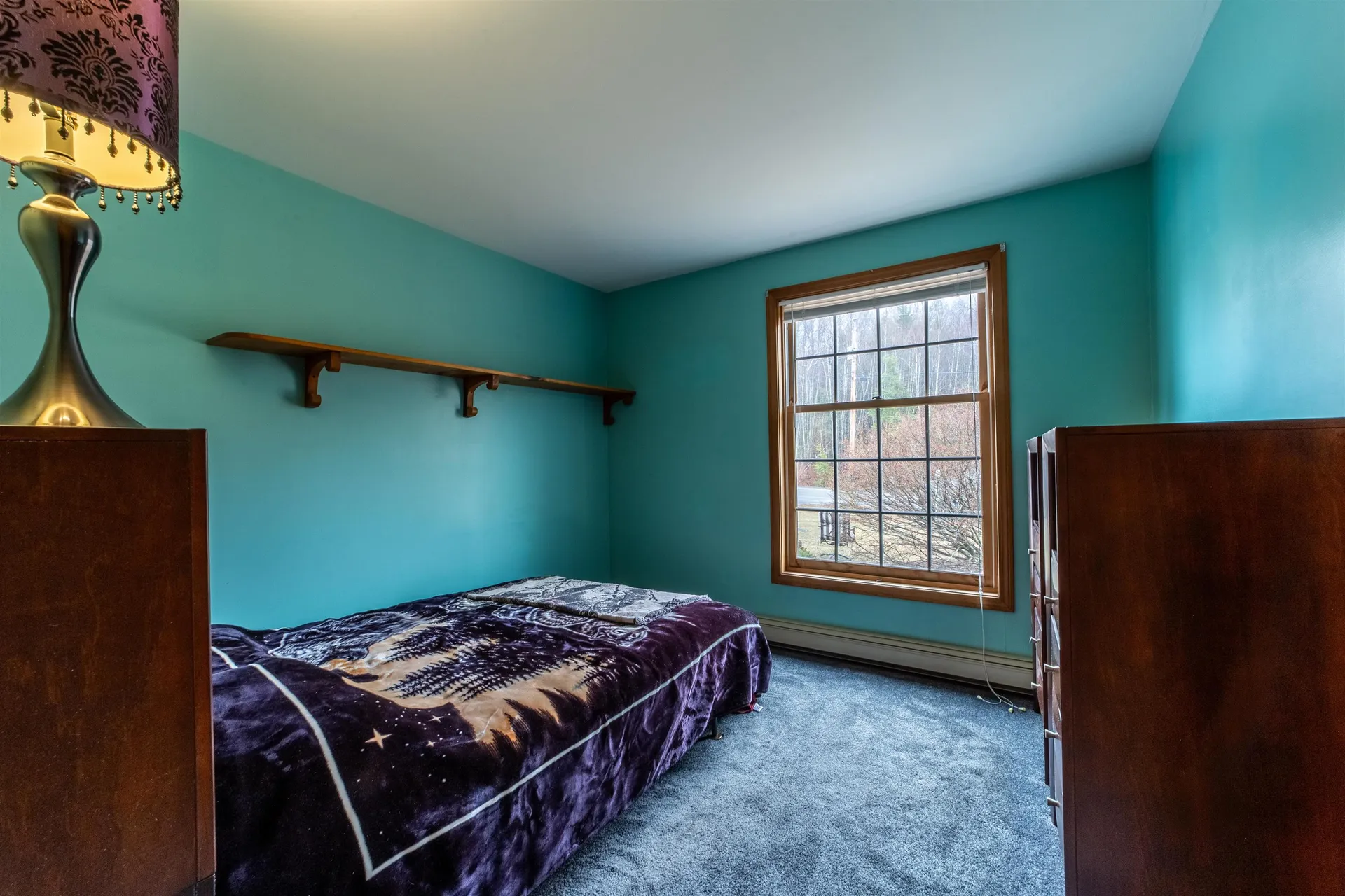 450 Upper Birch Drive Bristol NH 03222