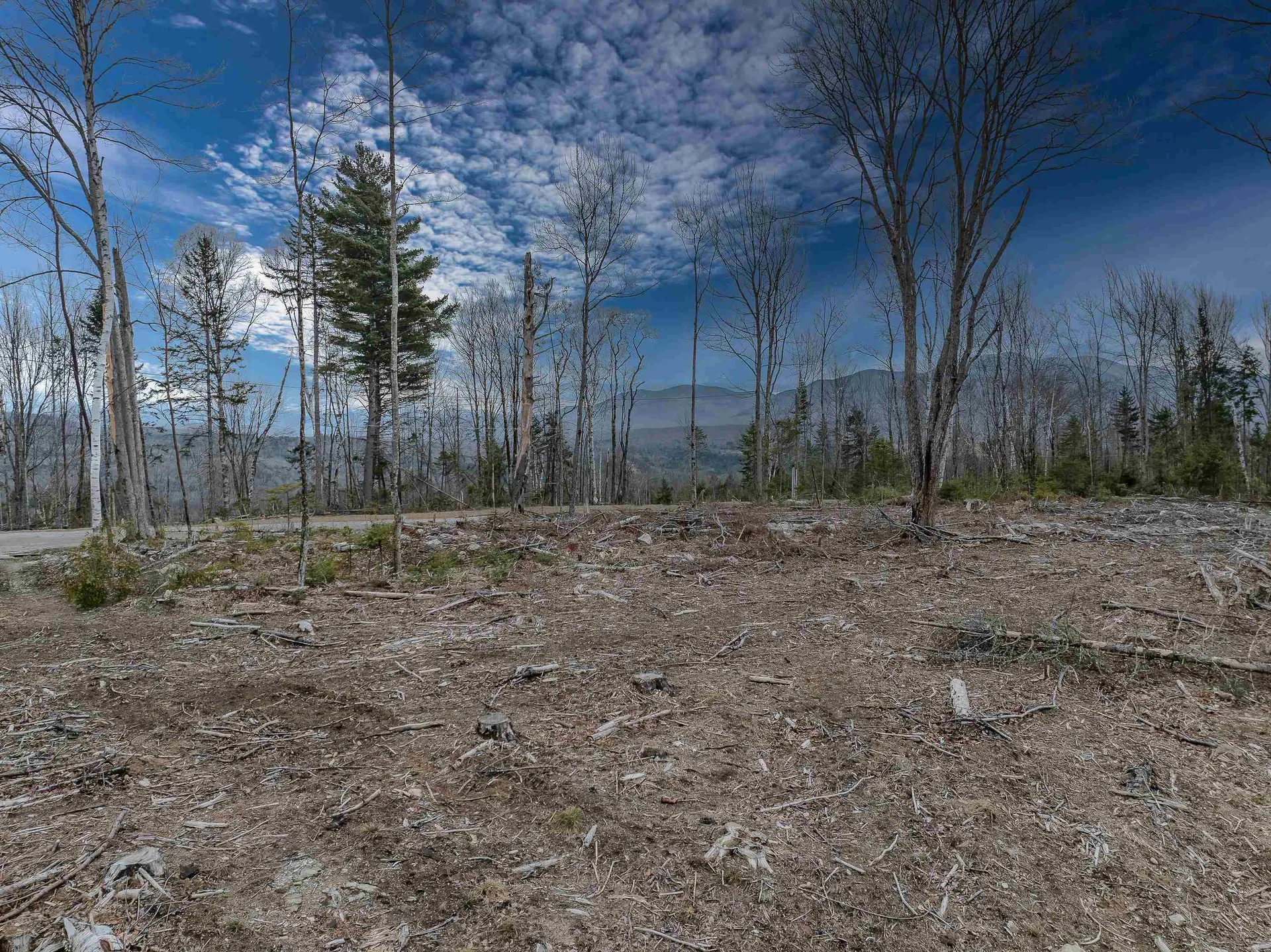 0000 Ridge Road Bethlehem NH 03574