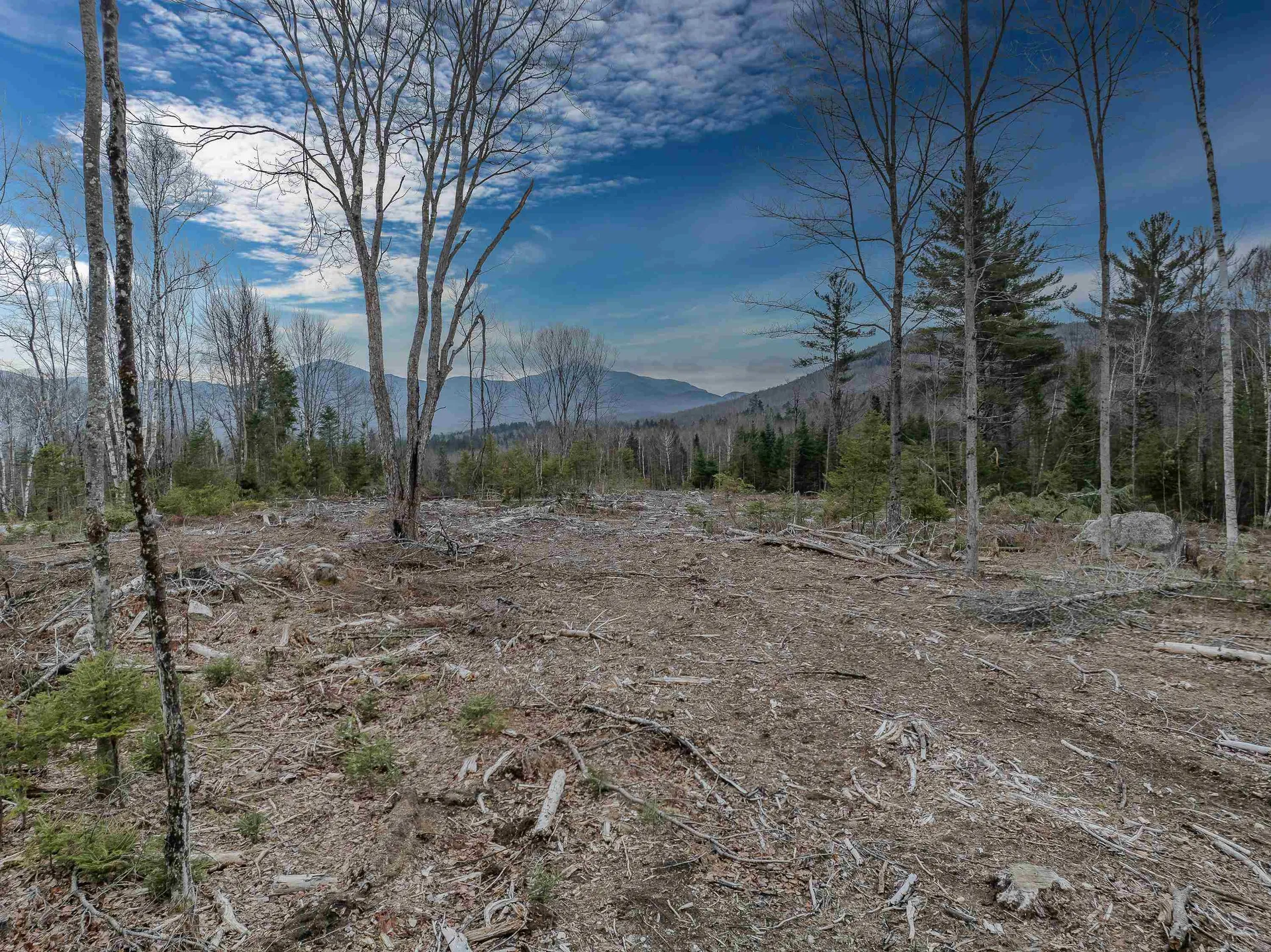 0000 Ridge Road Bethlehem NH 03574