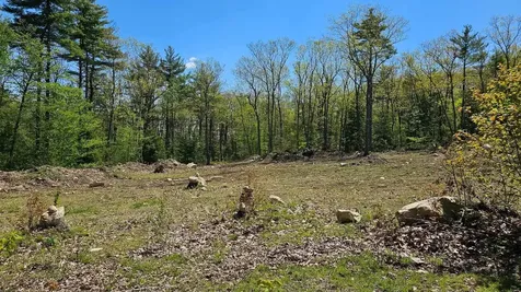 115 Moody Road Effingham NH 03882