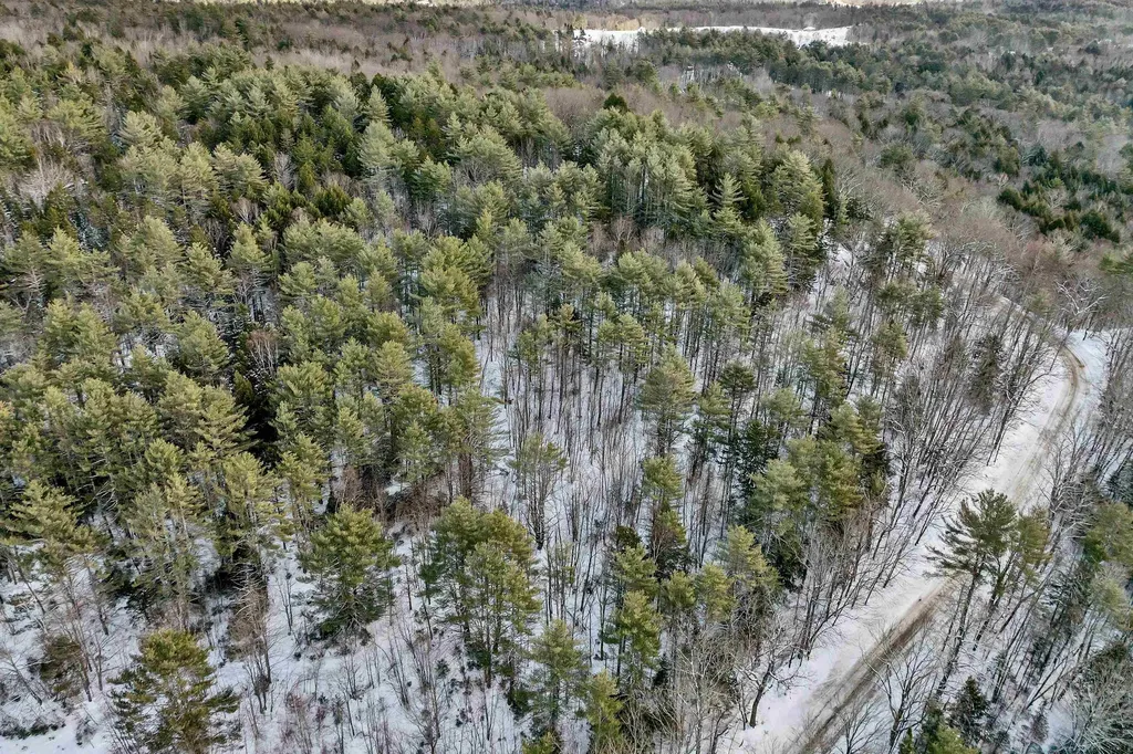 410-090-009 Eastern District Road Danbury NH 03230