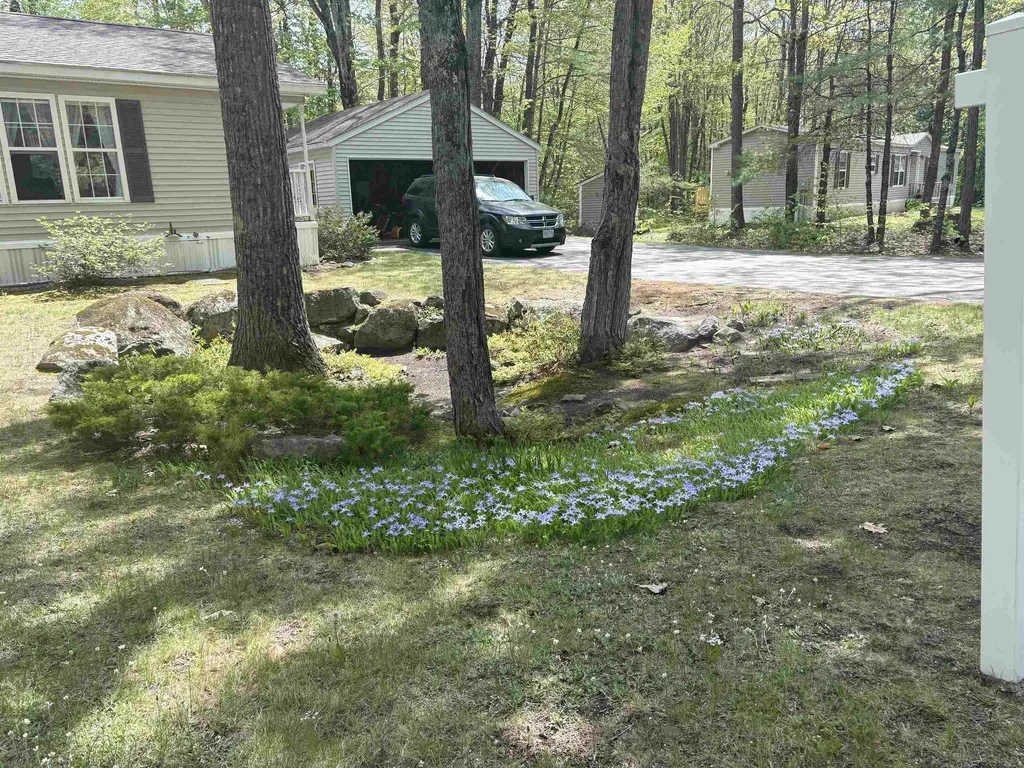 9 Kenyann Drive Wolfeboro NH 03894