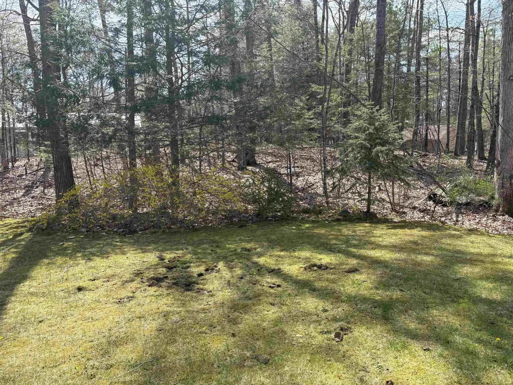 9 Kenyann Drive Wolfeboro NH 03894