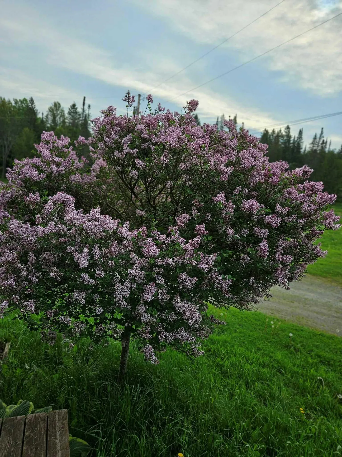 2431 Roaring Brook Road Barton VT 05822