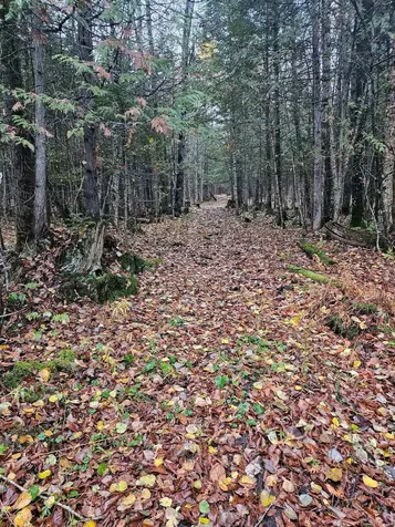 2431 Roaring Brook Road Barton VT 05822