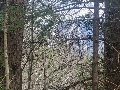 410-089-001 Eastern District Road Danbury NH 03230