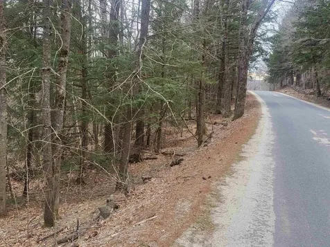 410-089-001 Eastern District Road Danbury NH 03230