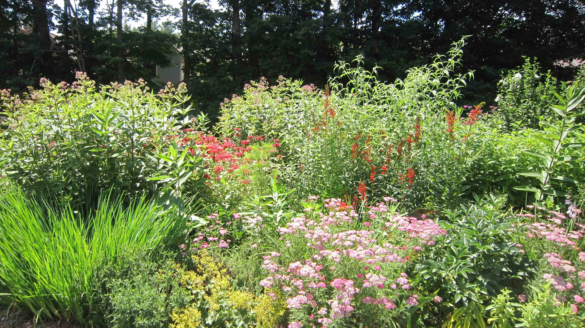 72 Morningside Commons Brattleboro VT 05301