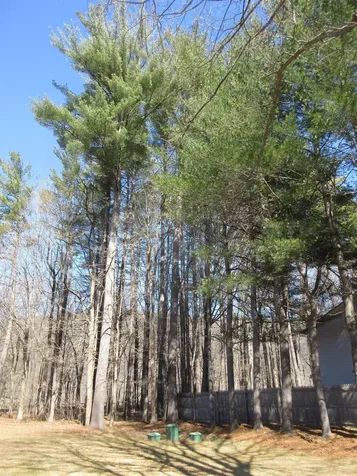 72 Morningside Commons Brattleboro VT 05301