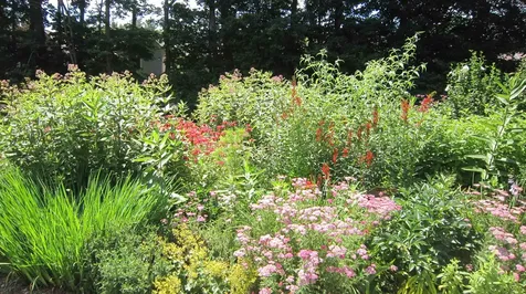 72 Morningside Commons Brattleboro VT 05301