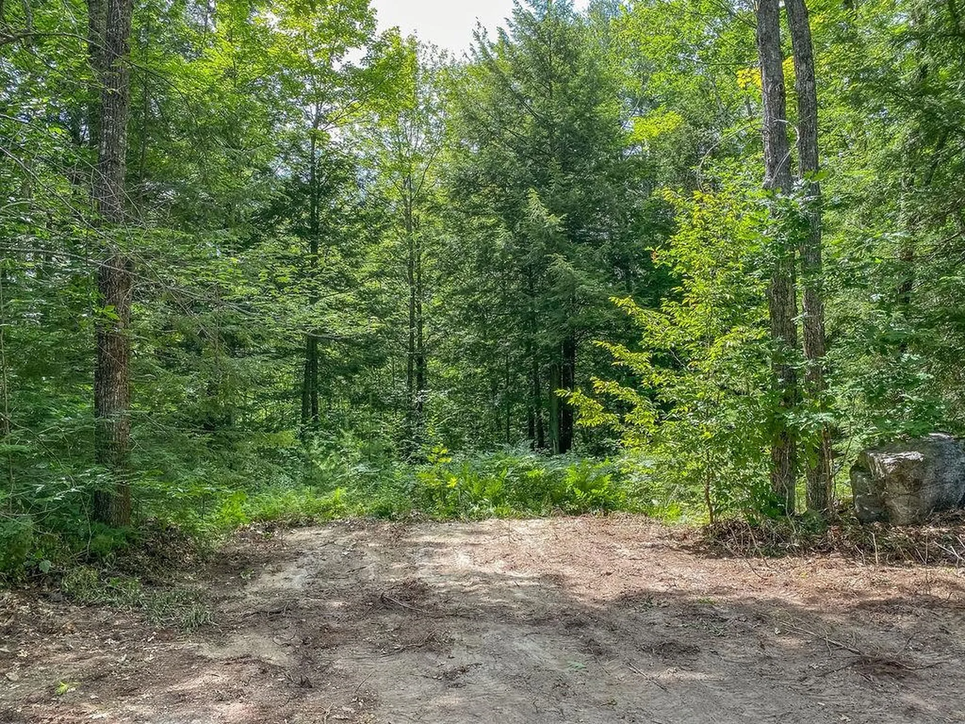 1350 Whittier Highway Moultonborough NH 03254