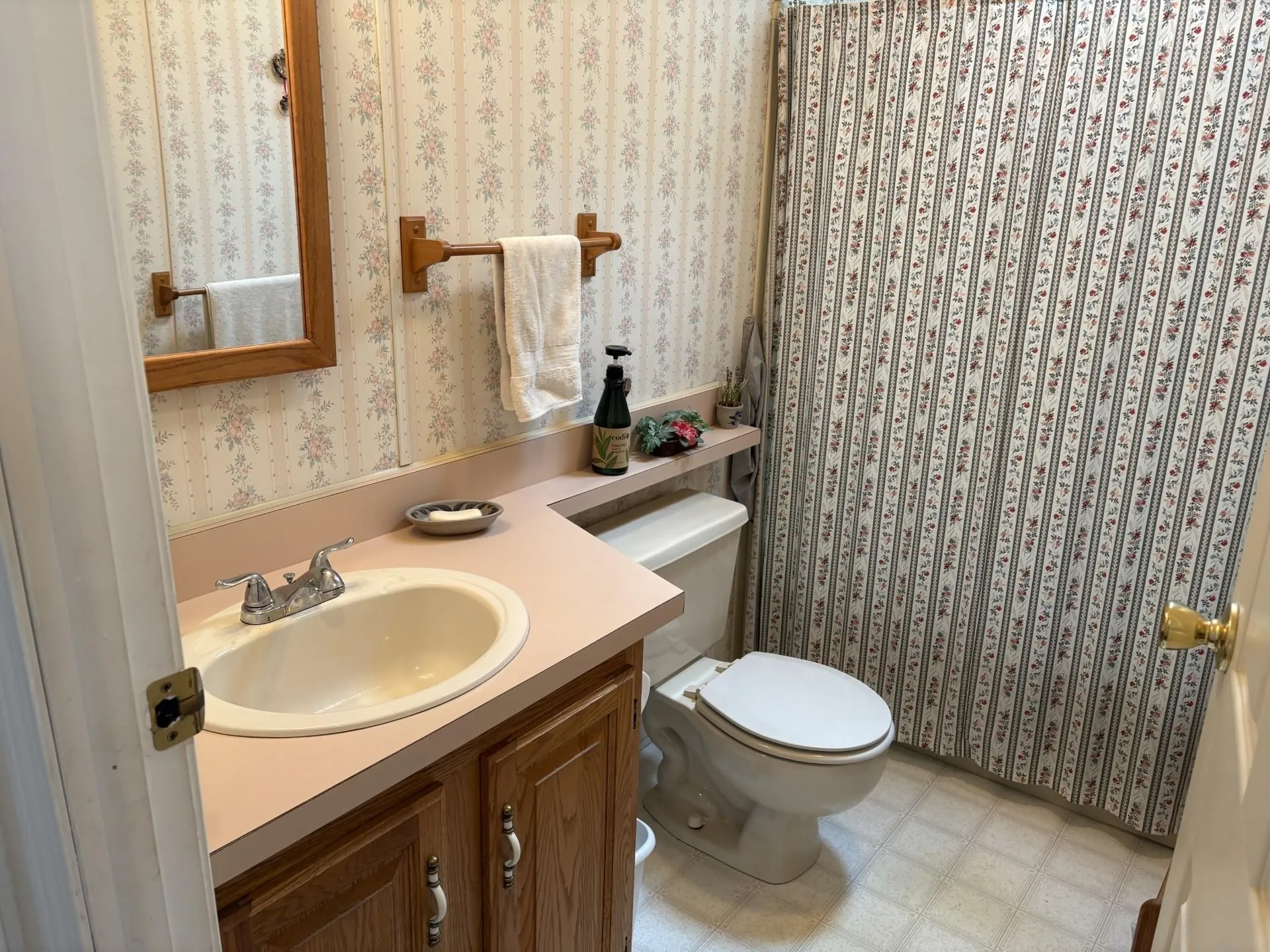 9 Kenyann Drive Wolfeboro NH 03894