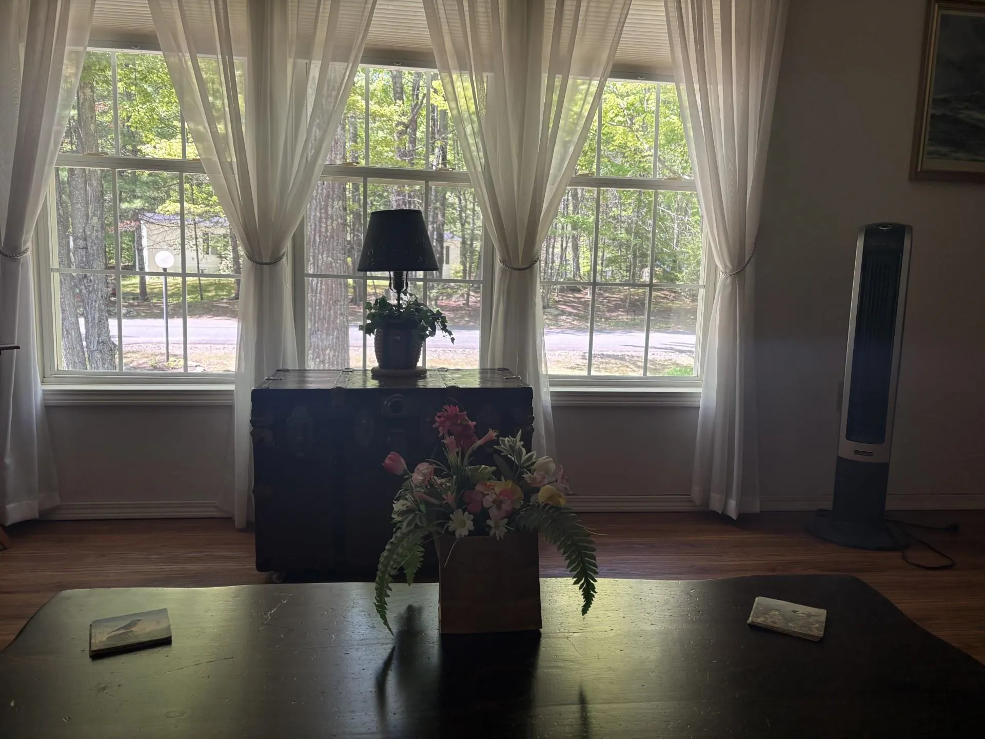 9 Kenyann Drive Wolfeboro NH 03894