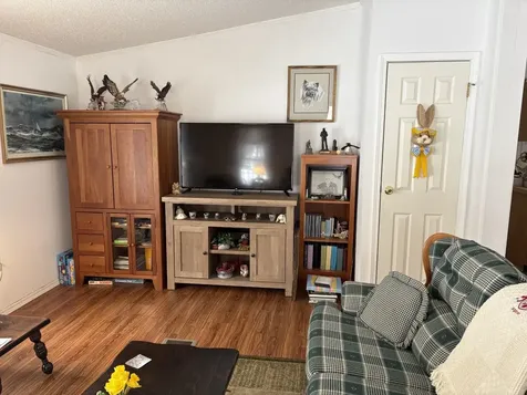 9 Kenyann Drive Wolfeboro NH 03894