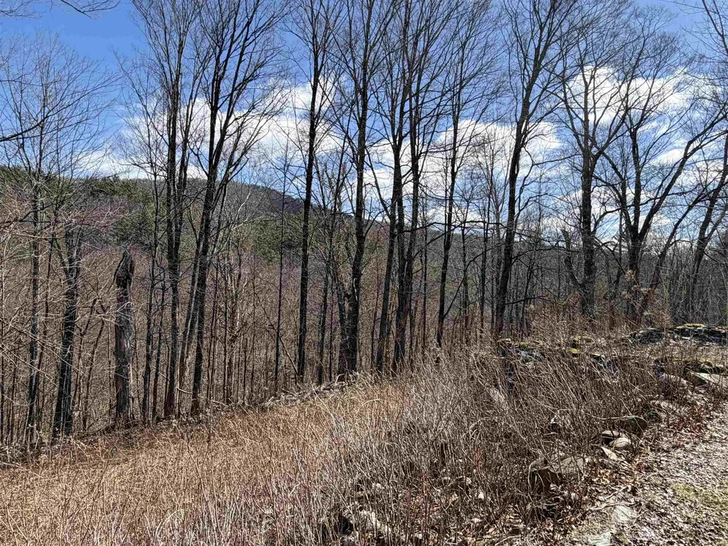 180 North Street Middletown Springs VT 05757