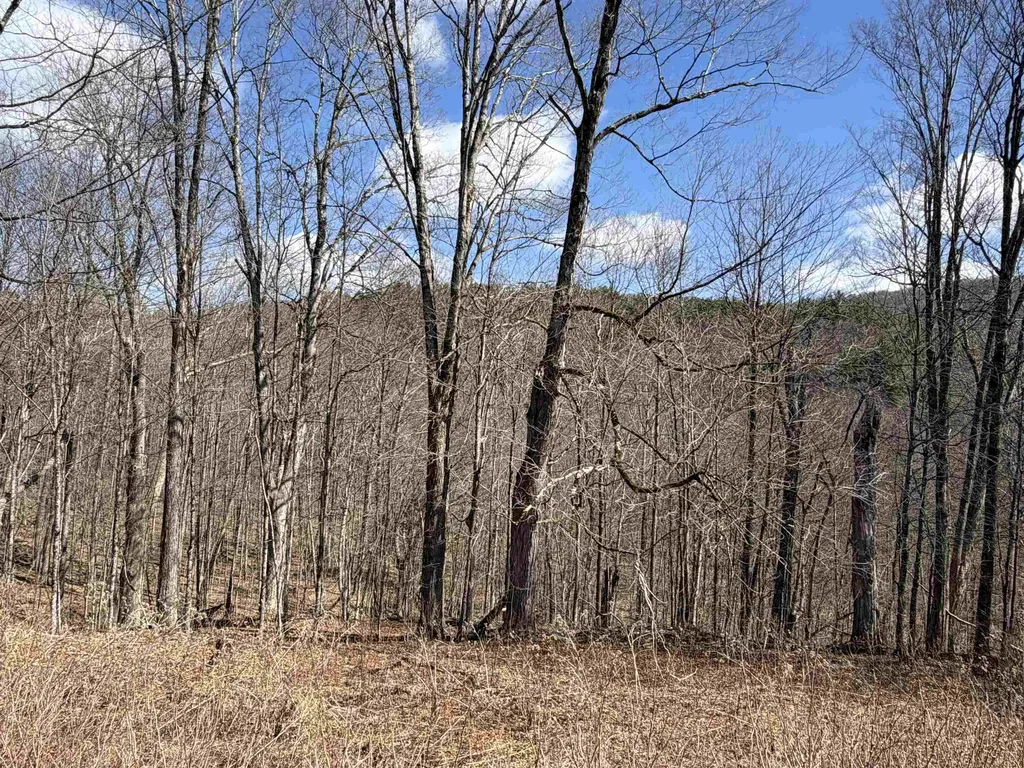 180 North Street Middletown Springs VT 05757