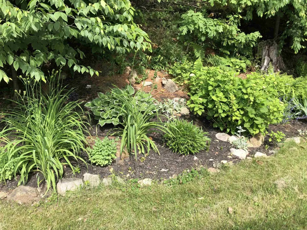 41 Depot Pond Road Milton NH 03851