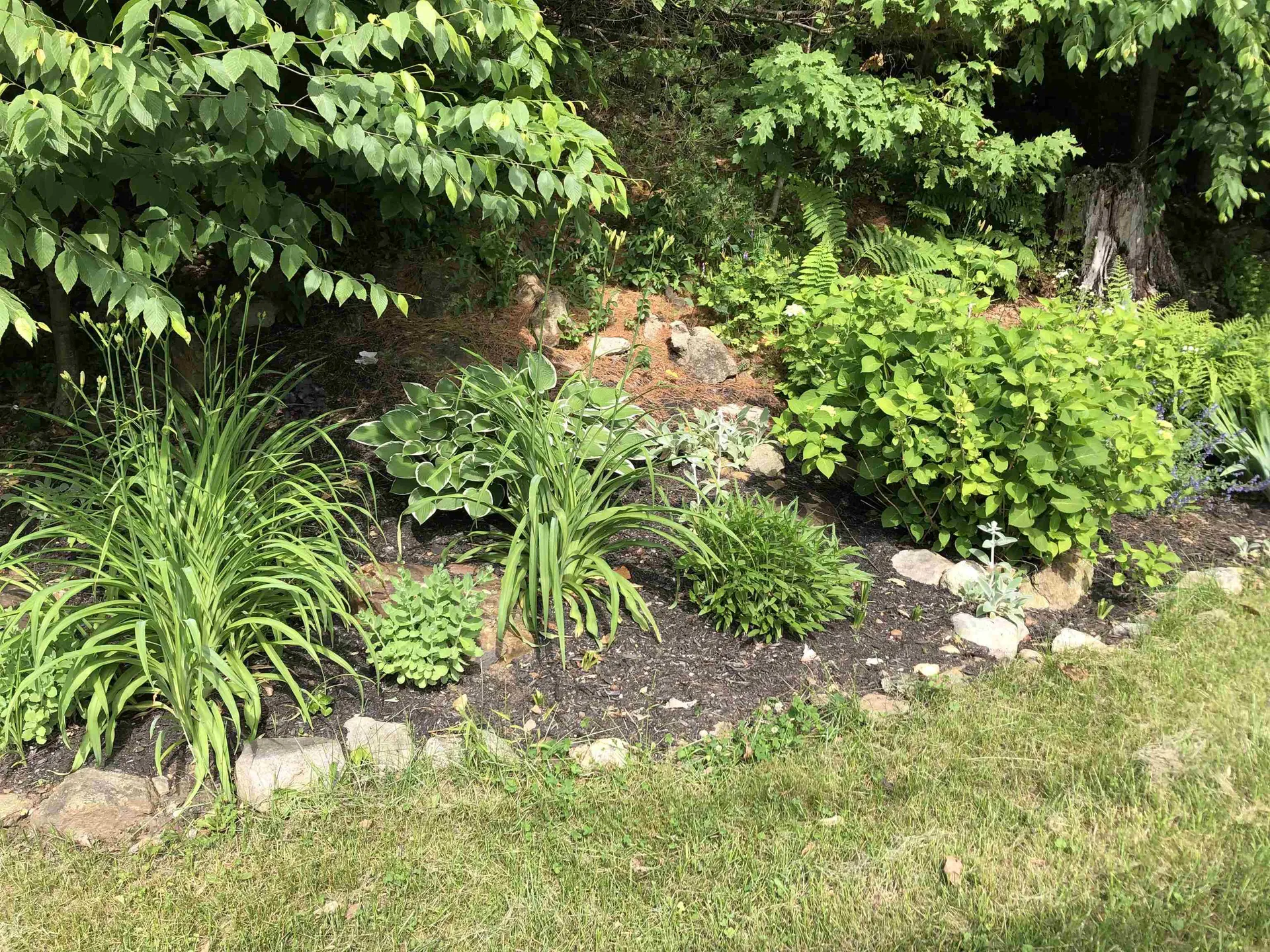 41 Depot Pond Road Milton NH 03851