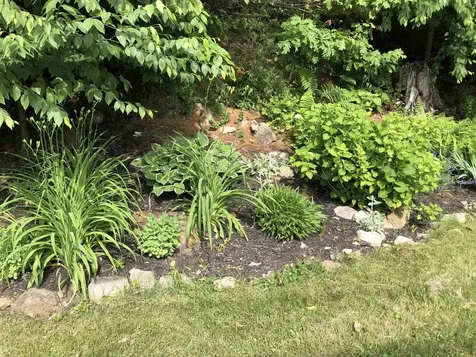 41 Depot Pond Road Milton NH 03851