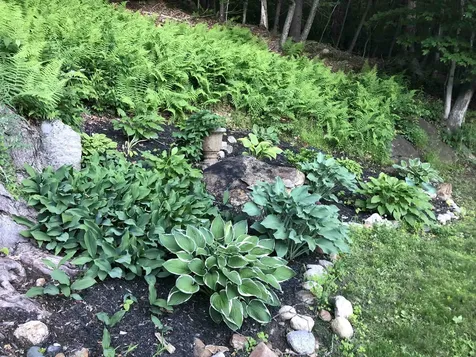 41 Depot Pond Road Milton NH 03851