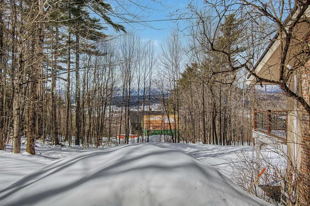 221 Brush Hill Road Stowe VT 05672