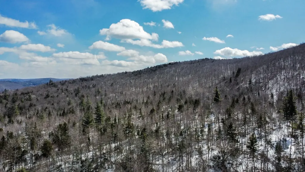 00 Old Warren Road Roxbury VT 05669