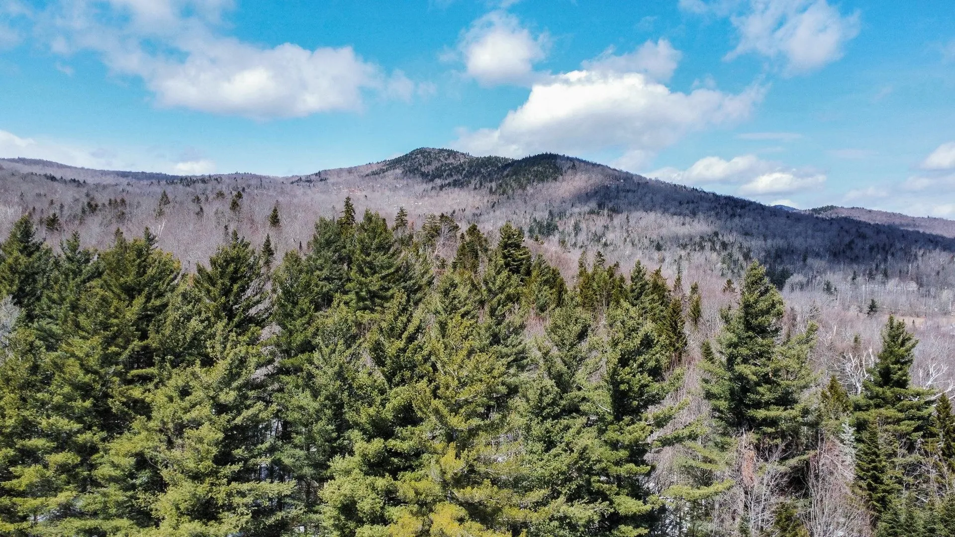 00 Old Warren Road Roxbury VT 05669