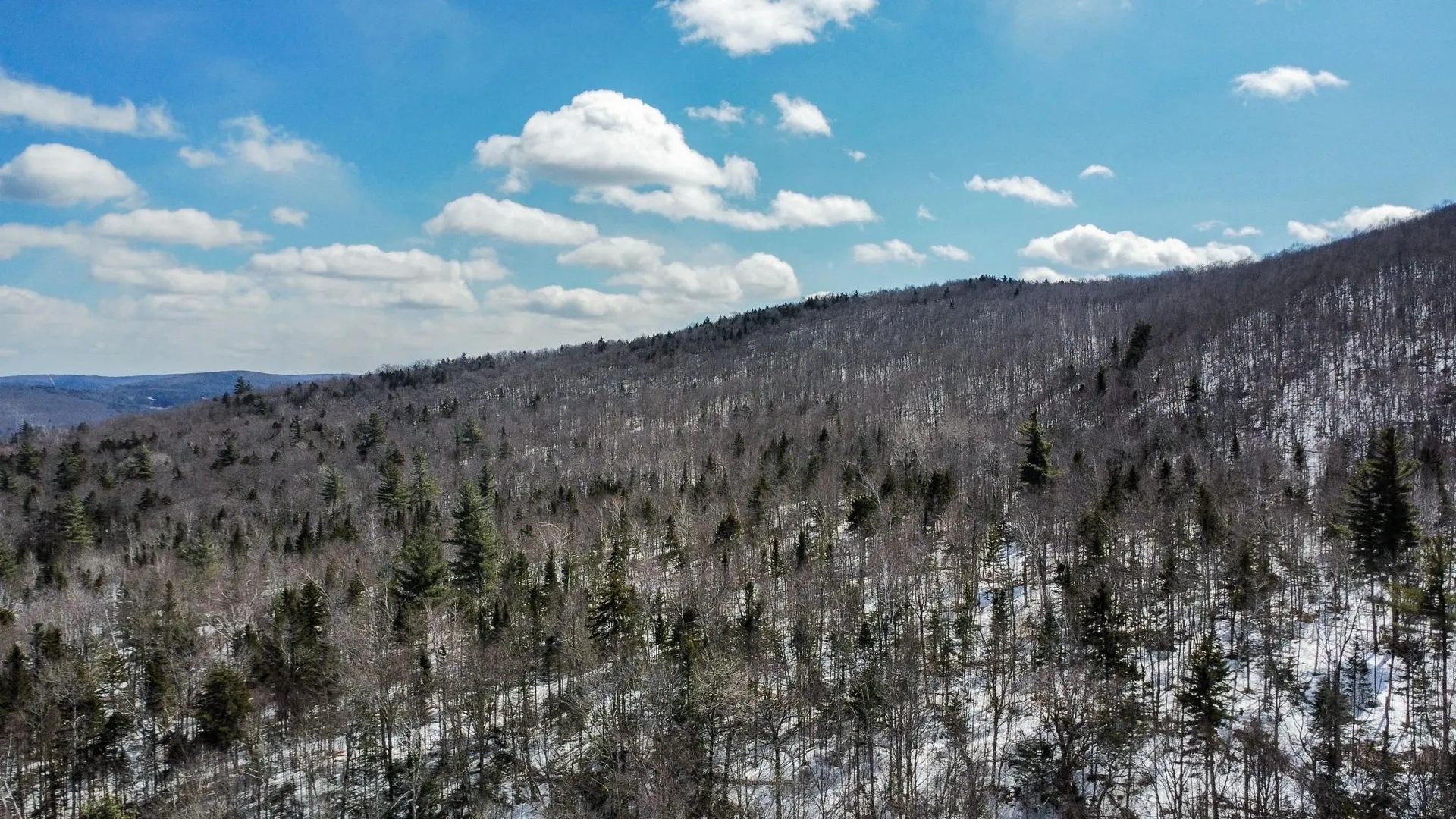 00 Old Warren Road Roxbury VT 05669