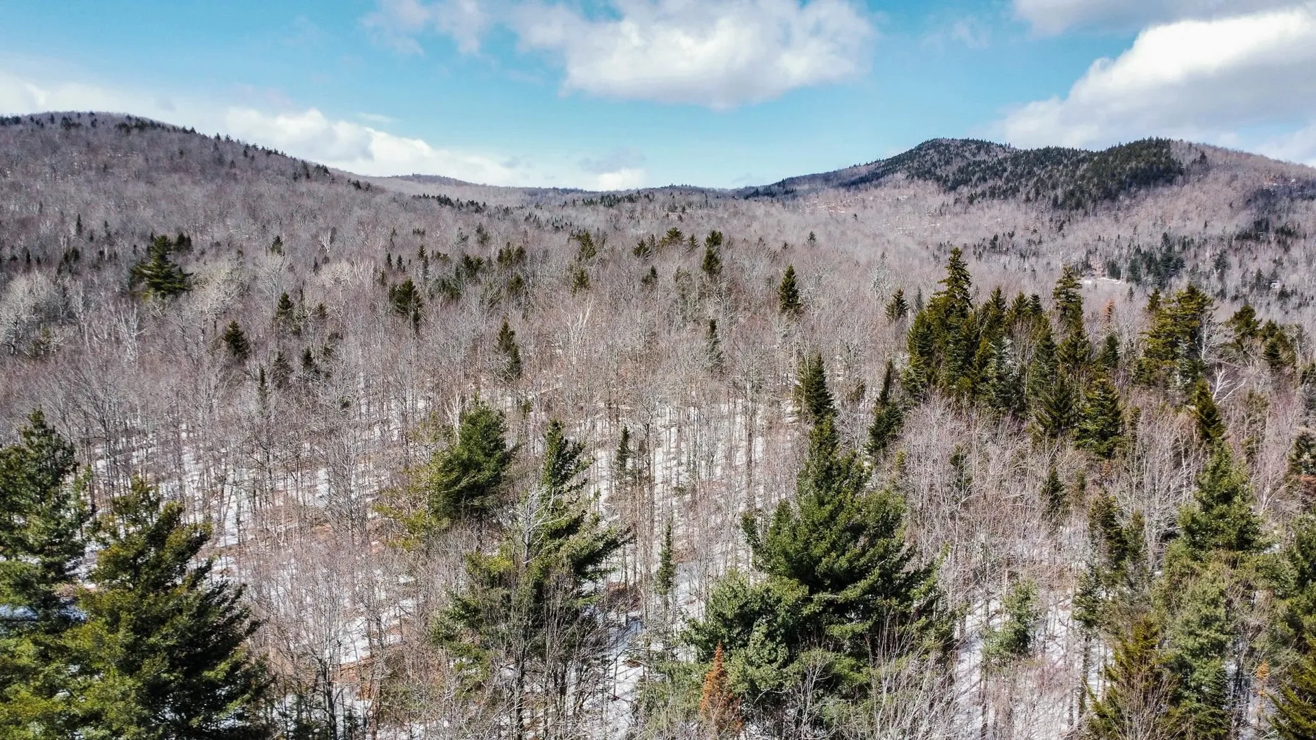 00 Old Warren Road Roxbury VT 05669