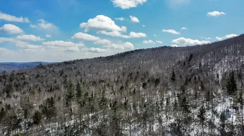 00 Old Warren Road Roxbury VT 05669