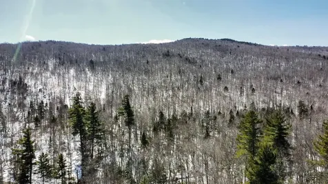 00 Old Warren Road Roxbury VT 05669