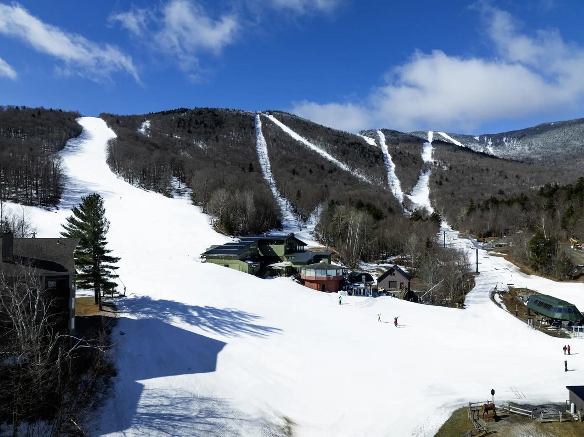 102 Forest Drive Warren VT 05674
