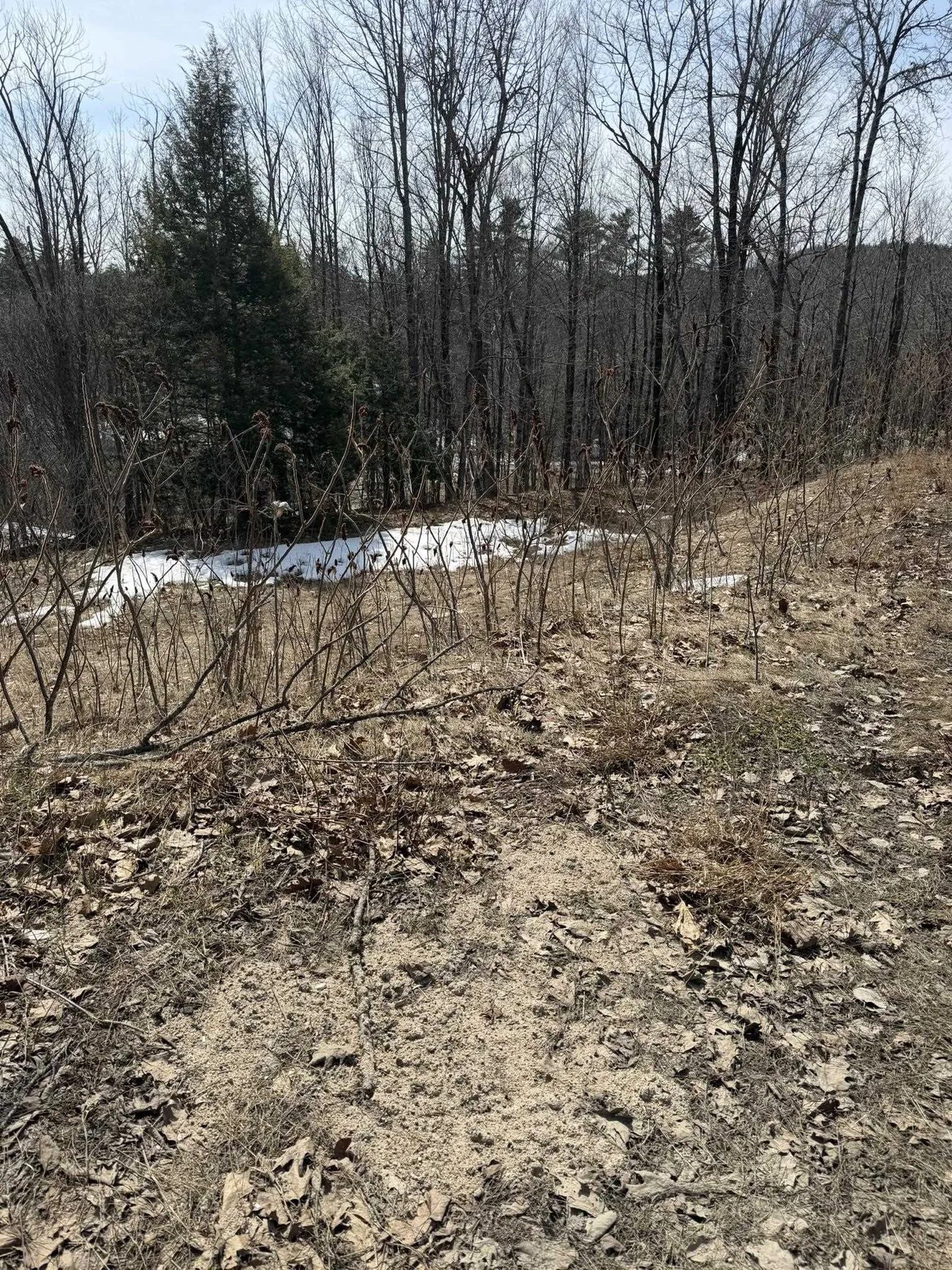 119 Moultonville Road Ossipee NH 03814