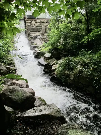 119 Moultonville Road Ossipee NH 03814