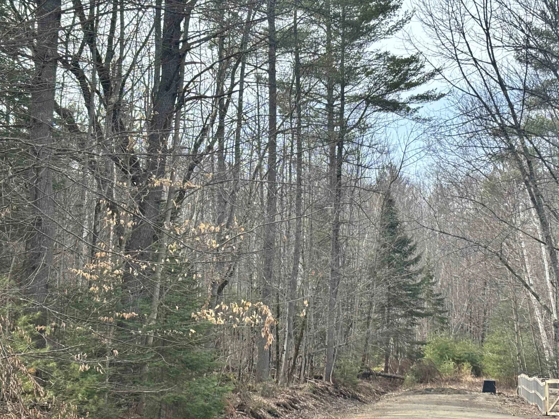 Bridgeview Drive Haverhill NH 03785